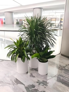 余姚绿化修剪服务哪家贴心？这家好到爆！